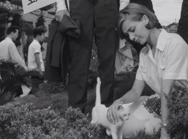 Hiroshima Mon Amour - Elle Emmanuelle Riva petting small white cat