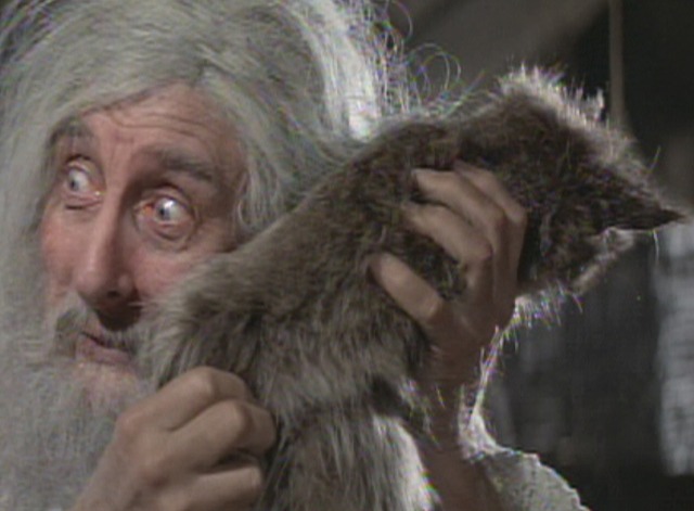 History of the World Part 1 - Rimbaud pets fake cat