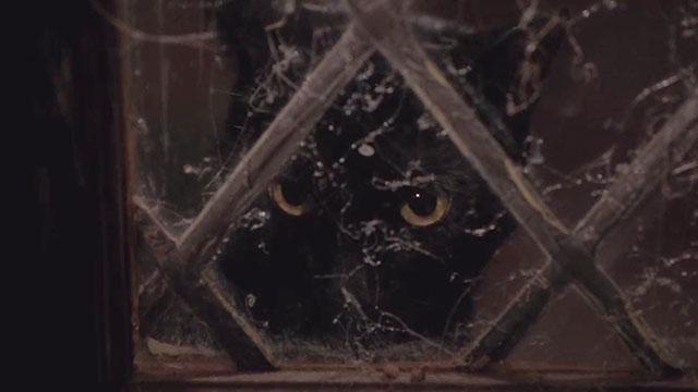 Hocus Pocus - black cat Binx looking through window