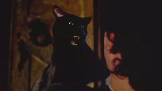 Hocus Pocus - black cat Binx talking to Max