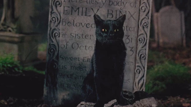 Hocus Pocus - black cat Binx sitting on grave