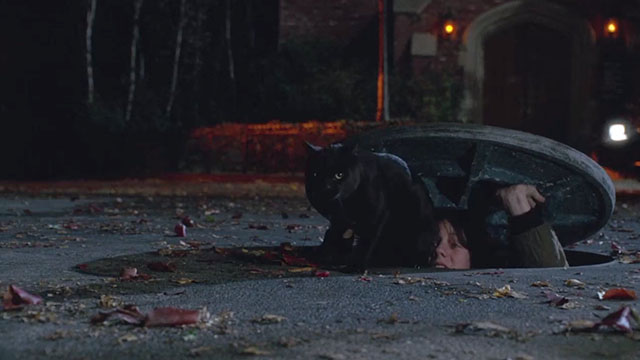 Hocus Pocus - black cat Binx and Max Omri Katz emerging from sewer
