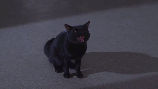 Hocus Pocus - black cat Binx hissing