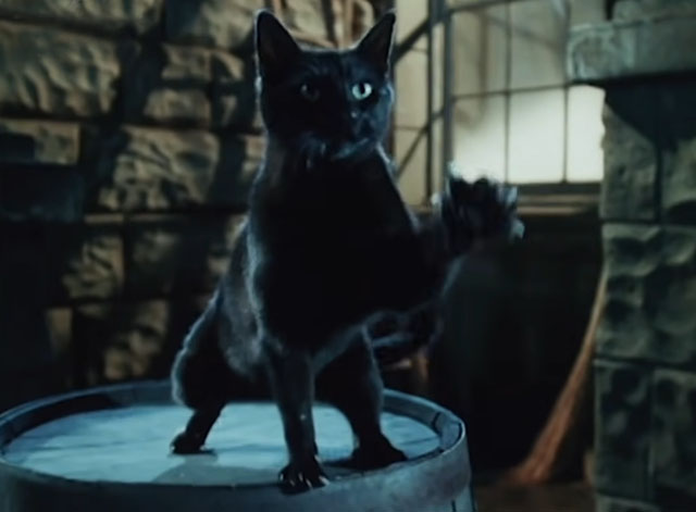 Hocus Pocus - black cat Binx actor batting