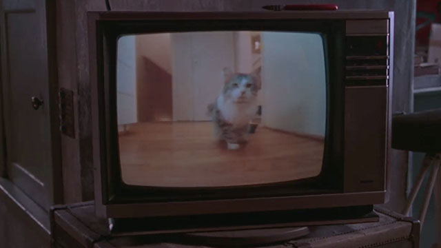 Home Alone 3 - longhair gray and white cat Elvis seen on TV screen