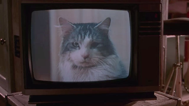 Home Alone 3 - longhair gray and white cat Elvis seen on TV screen