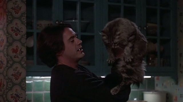 Home for the Holidays - Frank Maine Coon cat being held up by Tommy Robert Downey Jr.