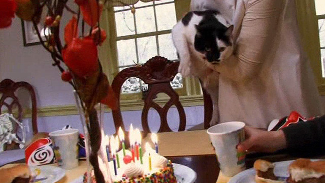 Home Movie - tuxedo cat being held over table with birthday cake