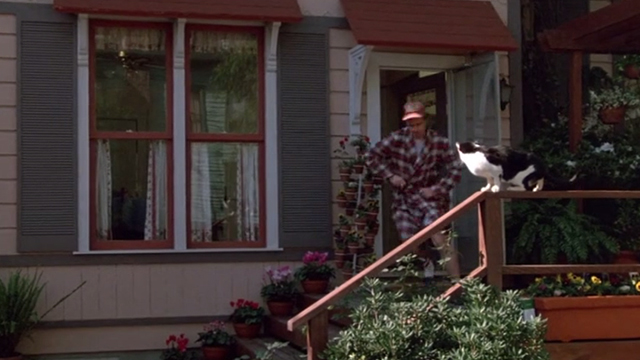 Honey, I Shrunk the Kids - tuxedo cat Spike on railing outside house