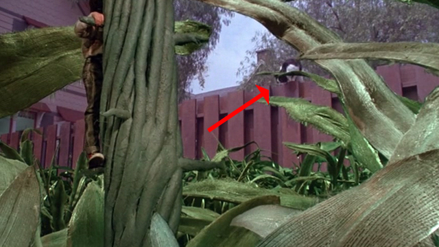 Honey, I Shrunk the Kids - tuxedo cat Spike jumping over fence