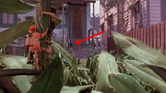 Honey, I Shrunk the Kids - tuxedo cat Spike chasing Quark back onto porch