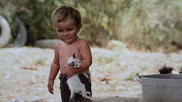 Honeyland - toddler carrying white kitten with black markings