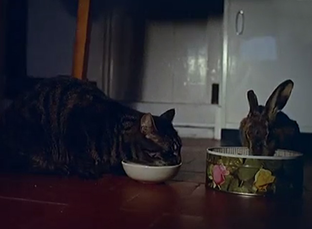 Hoppity Hare - tabby cat Buster eating alongside Hoppity Hare on floor