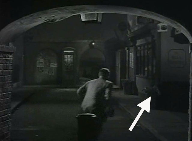 The Hornet's Nest - Peterson Charles Farrell running into alley with calico cat jumping down from dustbin