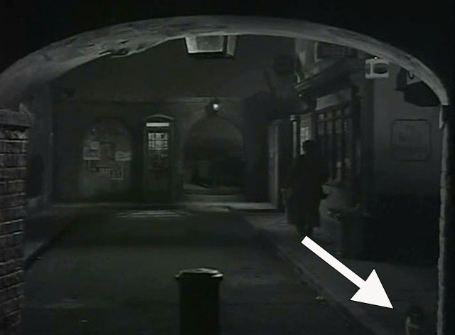 The Hornet's Nest - Peterson Charles Farrell running into alley with calico cat running away