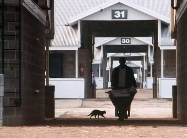 A Horse for Danny - Gerald Ron Brice pushing wheelbarrow with cat walking behind
