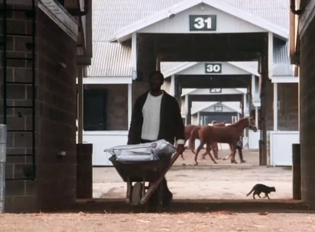 A Horse for Danny - Gerald Ron Brice pushing wheelbarrow with cat walking behind