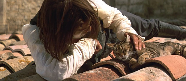 Le Hussard sur le Toit - The Horseman on the Roof - brown tabby cat lying on roof beside Angelo Olivier Martinez