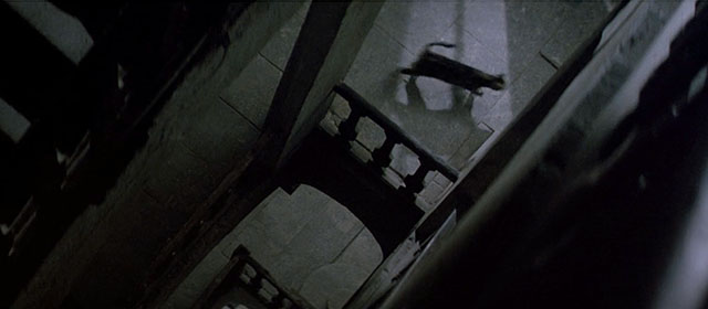 Le Hussard sur le Toit - The Horseman on the Roof - brown tabby cat running through dark house