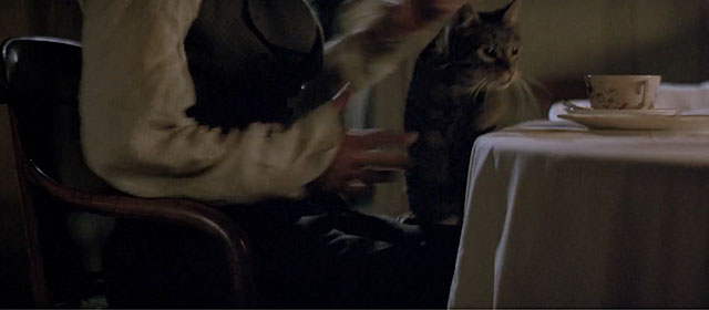 Le Hussard sur le Toit - The Horseman on the Roof - brown tabby cat jumping into Angelo's lap