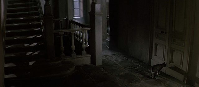 Le Hussard sur le Toit - The Horseman on the Roof - brown tabby cat outside door