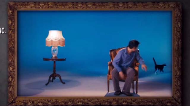 Hotel for Dogs - crew member watching pet tuxedo cat walking away