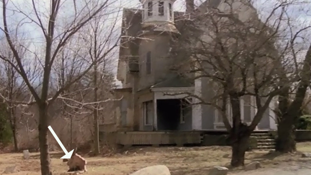 The House by the Cemetery - black cat lying by gravestone near house