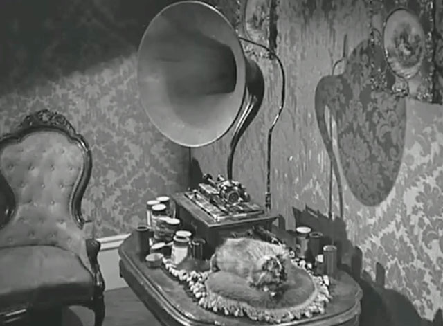House by the River - longhair tortoiseshell cat sitting on pillow next to cylinder gramophone