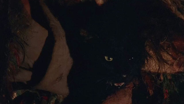 The House Where Evil Dwells - black cat close up