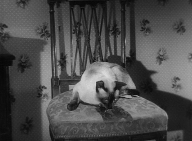 The House in the Woods - seal point Siamese cat Cleopatra on chair