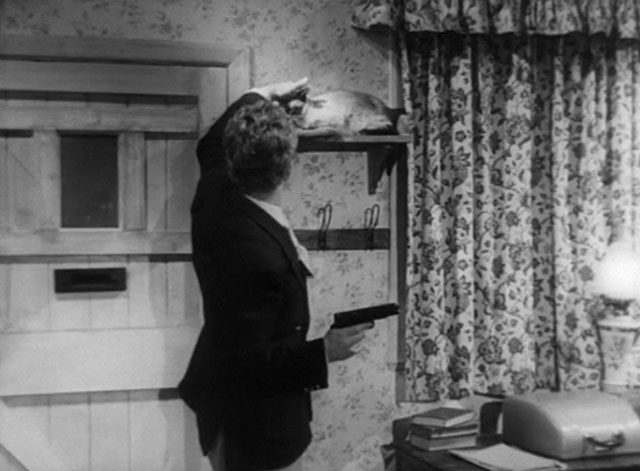 The House in the Woods - Spencer Ronald Howard reaching back to pet seal point Siamese cat Cleopatra on shelf