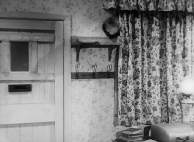 The House in the Woods - tail end of seal point Siamese cat Cleopatra hiding behind curtain