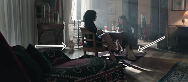 House of Gucci - cats in room with Patrizia Lady Gaga and Pina Selma Hayek