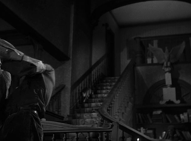 House of Horrors - grey tabby cat Pietro running down stairs