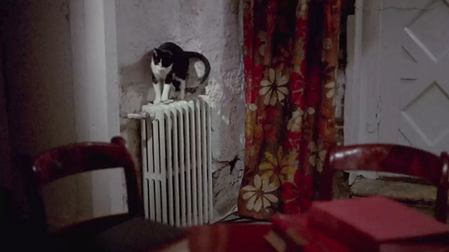 House of Mortal Sin - tuxedo cat on radiator