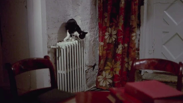 House of Mortal Sin - tuxedo cat on radiator