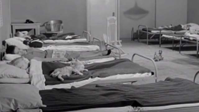 House of Women - orange tabby cat on boy's bed