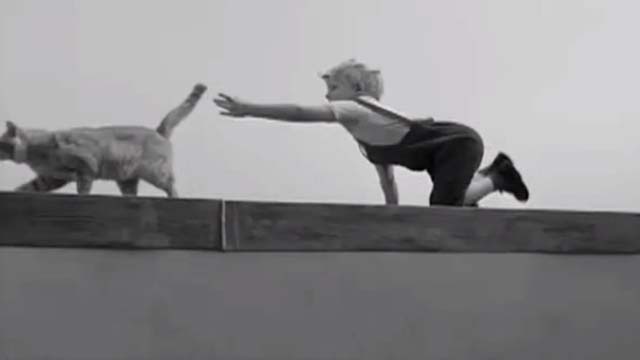 House of Women - little boy Tommy Drew Vigen reaching for orange tabby cat on high roof ledge