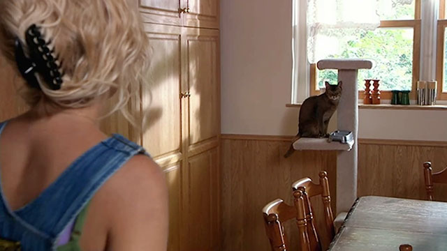 The House Sitter - Elise Tori Spelling looking at Abyssinian cat Fred Sushi on cat tree