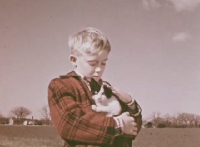 How Animals Help Us - boy Jimmy holding and petting tuxedo kitten