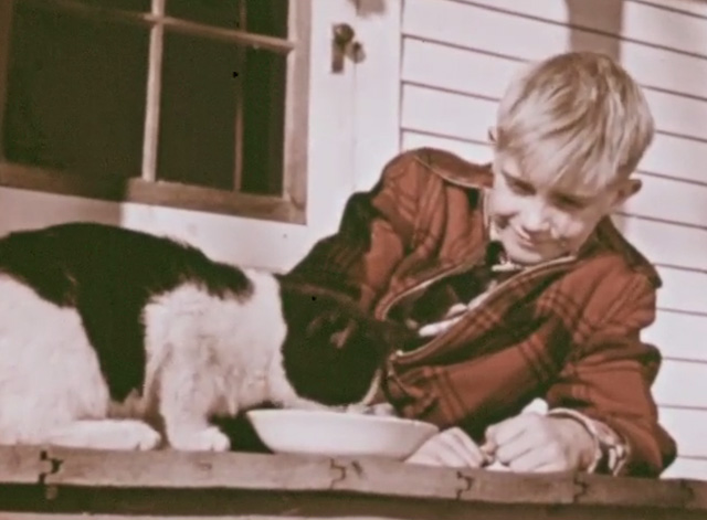 How Animals Help Us - boy Jimmy watching tuxedo kitten drinking from bowl