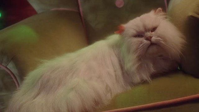 How the Grinch Stole Christmas - white Persian cat on chair