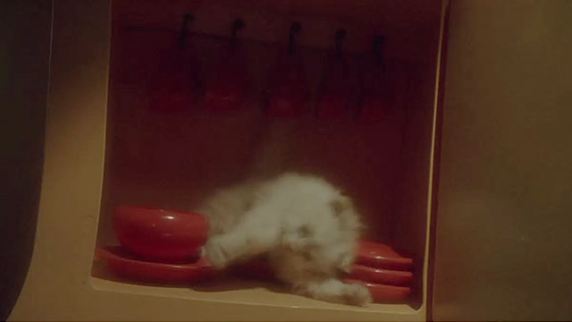 How the Grinch Stole Christmas - fake white Persian cat lying in cupboard