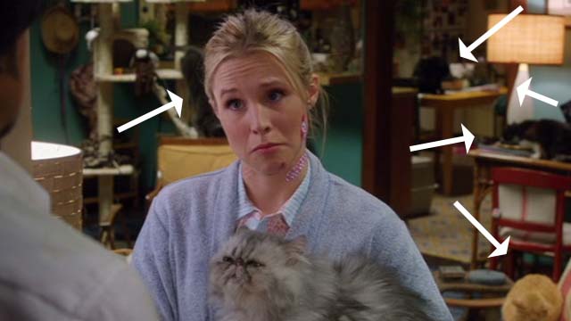 How to Be a Latin Lover - Cindy Kristen Bell holding longhaired cats with cats in background