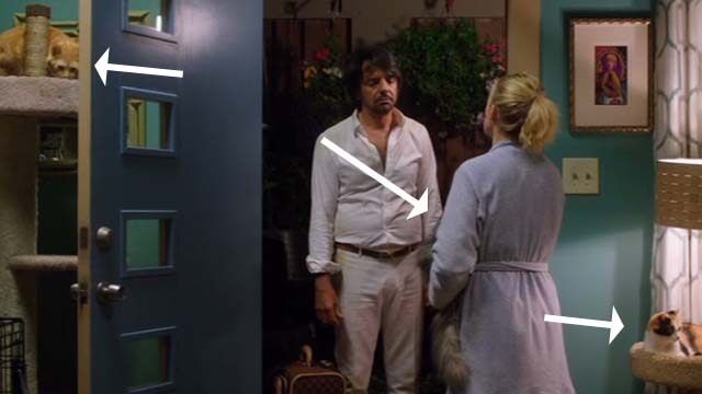 How to Be a Latin Lover - Maximo Eugenio Derbez and Cindy Kristen Bell in doorway with cats around them