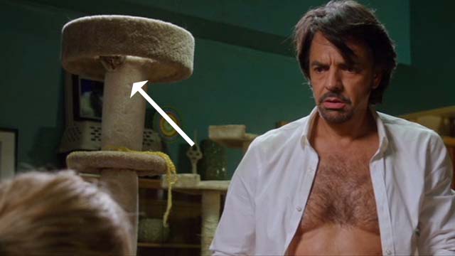 How to Be a Latin Lover - tabby cat on tree behind Maximo Eugenio Derbez and Cindy Kristen Bell