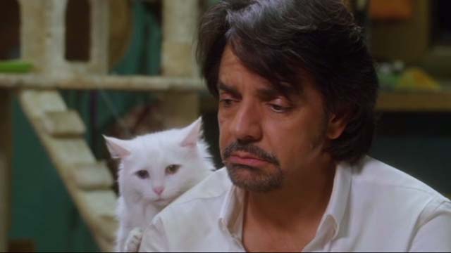 How to Be a Latin Lover - white cat behind Maximo Eugenio Derbez shoulder