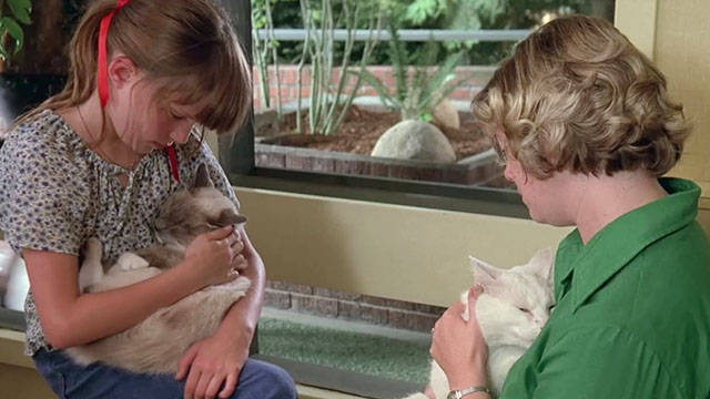 How to Beat the High Cost of Living - women holding Siamese and white cat in waiting room