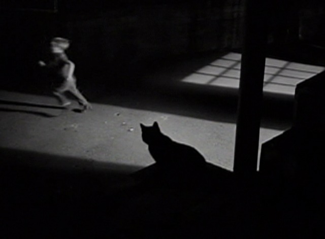 The Human Comedy - silhouette of cat watches Ulysses little boy Jack Jenkins run by