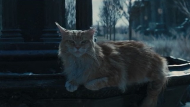 The Hunger Games: Catching Fire - Buttercup sitting on fountain